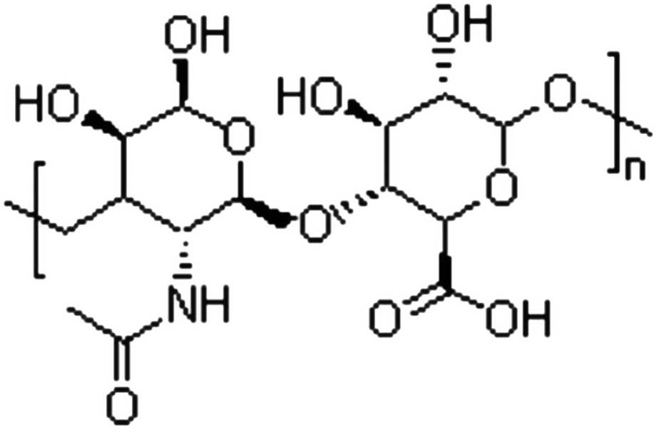 玻尿酸結構作用