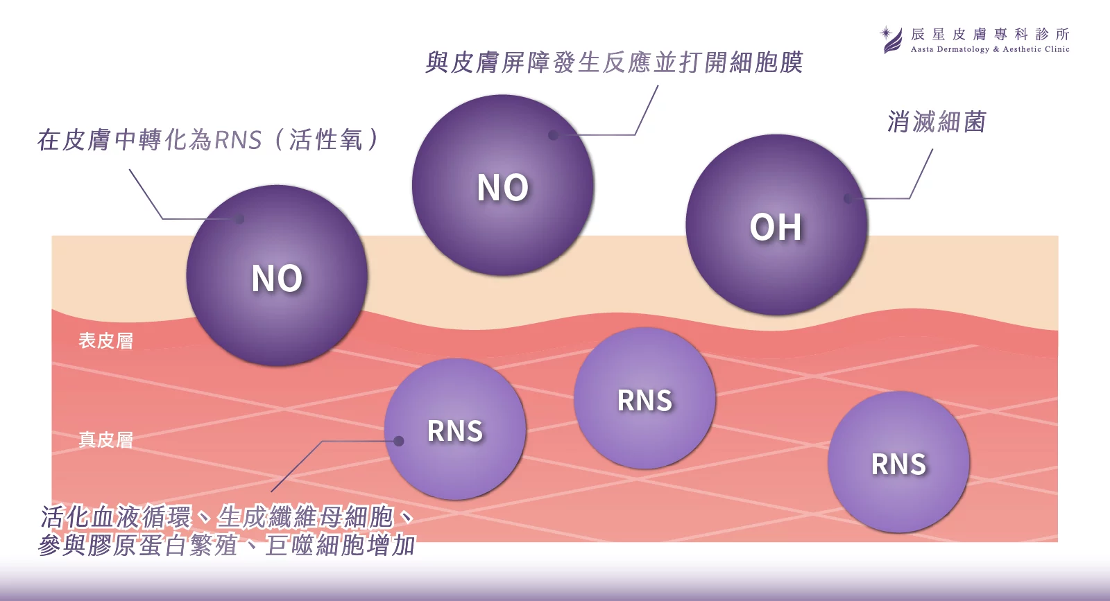 無針水光、P電漿 、超能電漿、電漿醫美、氦氣電漿 、pladuo、柏拉圖P電漿、毛孔粗大、皮脂腺、縮小毛孔、毛孔養膚